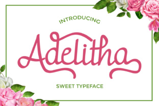 Adelitha: A Unique Approach to Digital Innovation