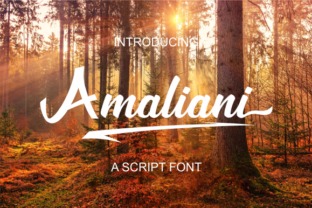Amaliani: Streamlining Workflow and Enhancing Productivity