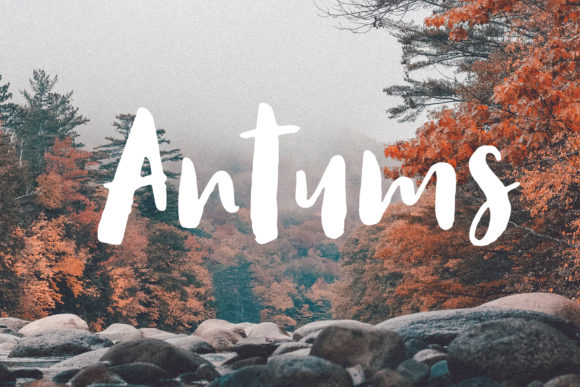 Antums: A Practical Guide for Real-World Use