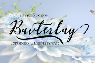Bavterlay: A Design Game-Changer