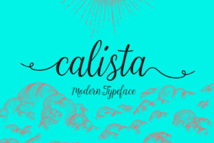 Calista: A Practical Guide to Understanding Its Purpose and Everyday Value