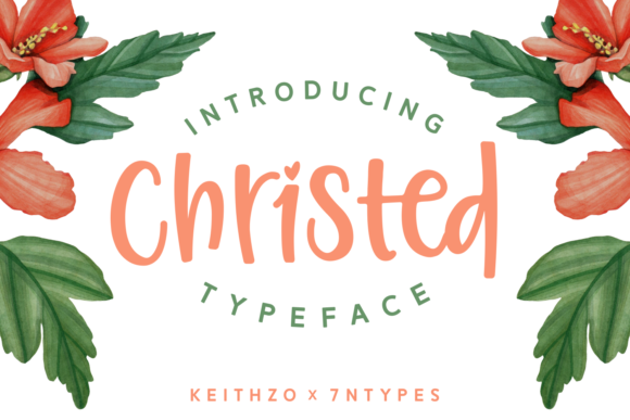 Christed: A Comprehensive Overview of Its Value and Utility