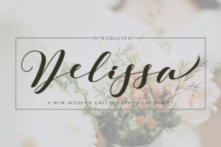 Delissa: A Practical Guide