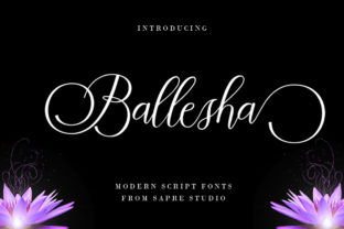 Discover the Power of Ballesha in Modern Workflows