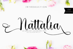 Discover the Power of Nattalia for Everyday Solutions