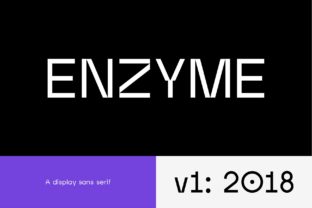 Enzyme: Streamlining Workflows with Precision and Purpose