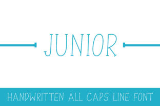 Junior: A Practical Guide for Real-World Use