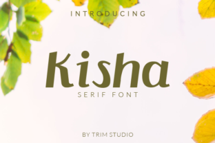Kisha: A Practical Tool for Everyday Use