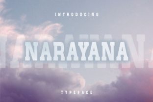 Narayana: A Practical Guide for Real-World Applications