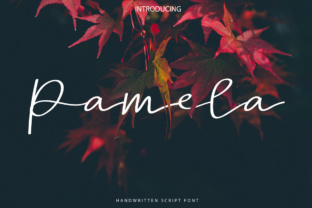Pamela Script: A Unique Approach to Scriptwriting and Content Creation
