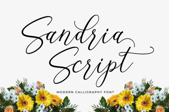 Sandria Script: A Versatile Tool for Creative and Practical Applications