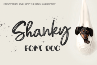 Shanky: A Creative Tool for All