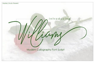 Understanding the Role of Williams and in Modern Contexts
