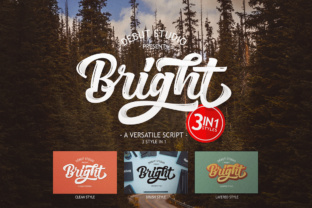 Why Bright Script Is Reshaping Modern Development Workflows